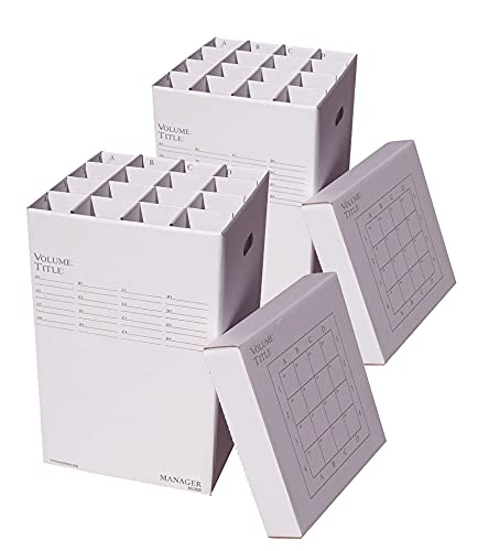 Advanced Organizing Systems MGR-25-2PK Manager Stores Rolled Storage File Organizer, Up to 24 in. - Pack of 2