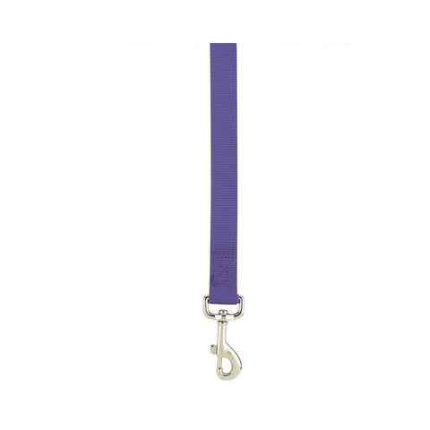 Zack & Zoey Basic Nylon Dog Leash, 6-Feet x 1-Inch Lead, Ultra Violet
