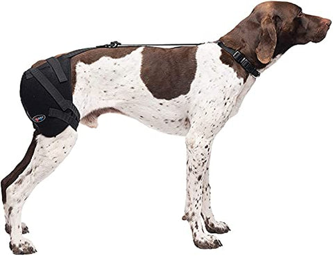 Caldera International Pet Therapy Hip Wrap with Gel, Medium, Black (PET203)
