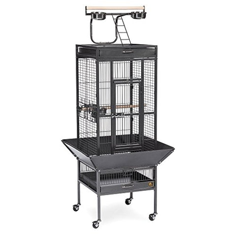 Prevue Pet Products Wrought Iron Select Bird Cage Black Hammertone 3151BLK, 18'' x 18'' x 57''