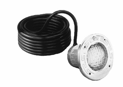 PENTAIR SB SS 100W 12V 50FT