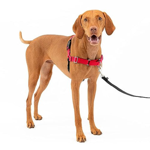 PetSafe Easy Walk Harness for Dogs - Pull-Free Walks - Patented Martingale Loop Design - Front Chest Leash Attachment - Comfort Straps - Breathable Harness Design - Medium, Red/Black
