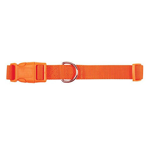 Zack & Zoey ?" Wide Nylon Dog Collar, Fits Necks 6" to 10", Orange