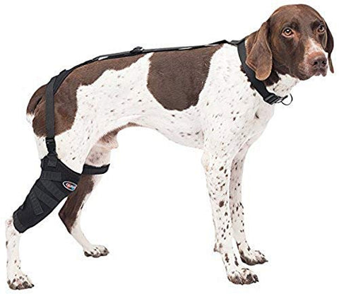 Caldera Pet Therapy Tall Stifle Wrap with Gel, Medium/Tall, Black (PET208)