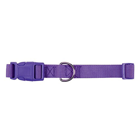 Zack & Zoey ?" Wide Nylon Dog Collar, Fits Necks 14" to 20", Ultra Violet