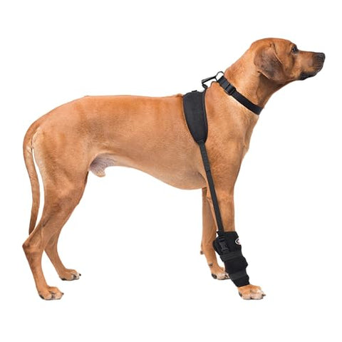Caldera Pet Therapy Elbow Wrap with Gel, Large, Black, Model Number: PET307