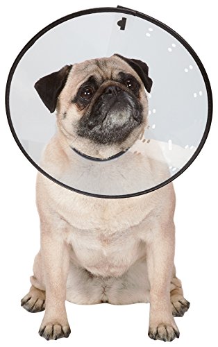Total Pet Health Elizabethan Collars — Durable Plastic Collars that Keep Pets from Licking Wounded Areas - Small, Clear
