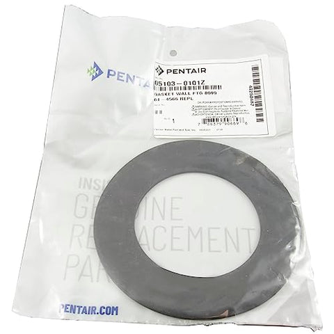 PENTAIR GASKET WALL FTG 8099 61-4566