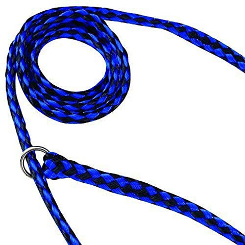 Guardian Gear Animal-Control O-Ring Slide Leads, 5' Long x ?" Wide, 12-Pack, Assorted Colors