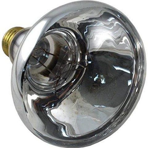 PENTAIR BULB AM 100W 12V R30