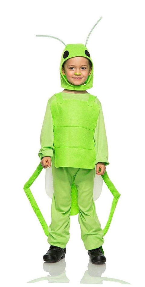 Seeing Red Flying Grasshopper Child Costume - X-Small