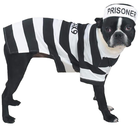 Casual Canine Prison Pooch Costume, Large
