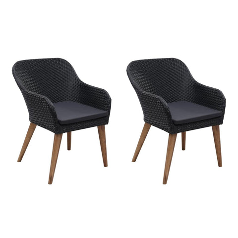 vidaXL Patio Chairs 2 Pcs, Patio Dining Chair with Cushions, PE Rattan Wicker Chair for Deck Garden Lawn Balcony Backyard Poolside, Poly Rattan Black