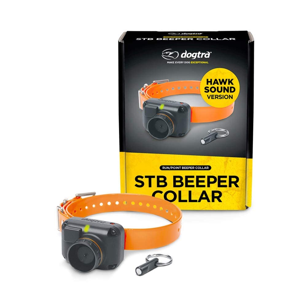 Dogtra STB Beeper Collar Hawk Version Hunting Dog Collar for Outdoor ...