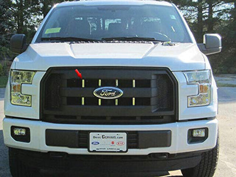 QAA is Compatible with 2015-2016 Ford F-150 8 Piece Stainless Front Grille Accent Trim SG55308