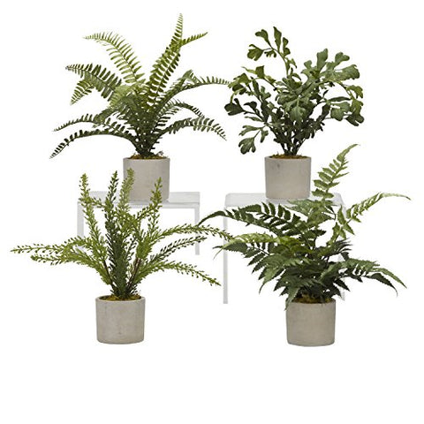 D & W Silks 179008 Assorted Ferns in Mini Cement Cylinder (Set of 4), Green/Grey