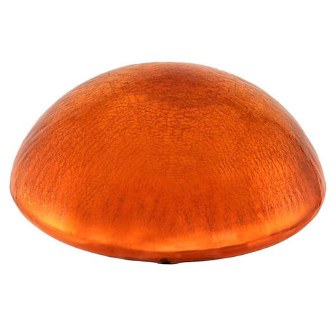 Oakestry Mandarin Toadstool