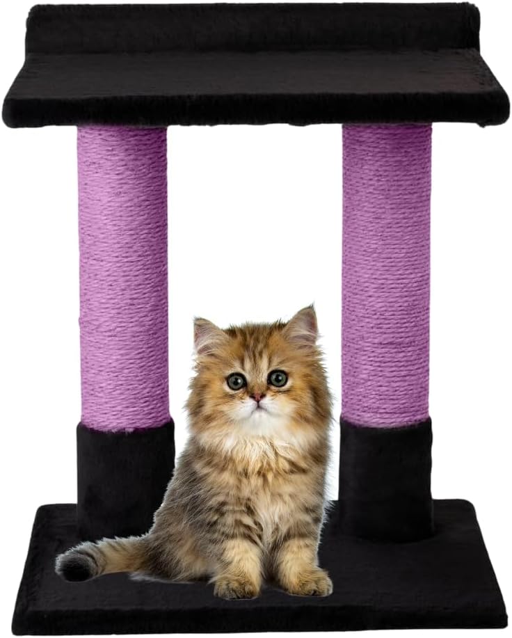 24 Inch Classic Comfort for Indoor Modern Premium Cats and Kittens Scratcher Larger Base for Better Stability, (Black, Purple)