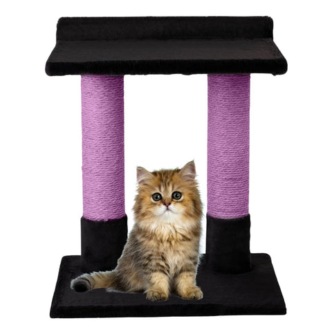 Noba 24 Inch Classic Comfort for Indoor Modern Premium Cats and Kittens Scratcher Larger Base for Better Stability, (Black, Purple)
