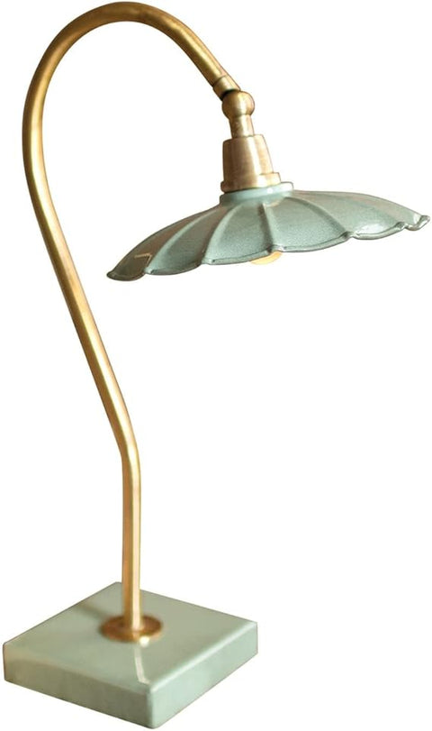 ANTIQUE BRASS GOOSE NECK TABLE LAMP WITH ENAMEL SHADE
