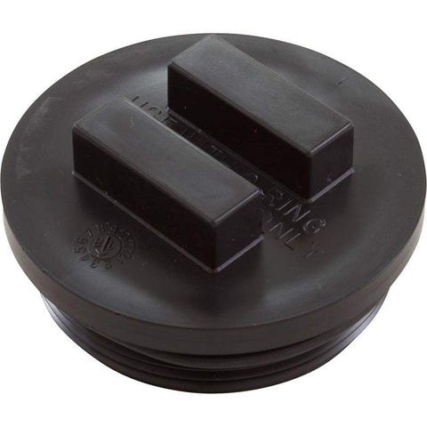 Pentair 2" Plug FNS24 with O-Ring