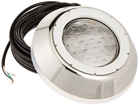 PENTAIR LT AQLMNIII 100W12V 50FT