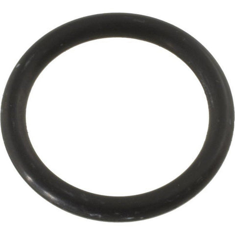 Waterway 805-0116EP Adapter O-Ring for Clearwater Cartri