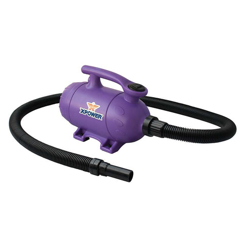 XPOWER B-2 2 HP Pro-at-Home 2-in-1 Pet Force Dryer & Vacuum, Purple