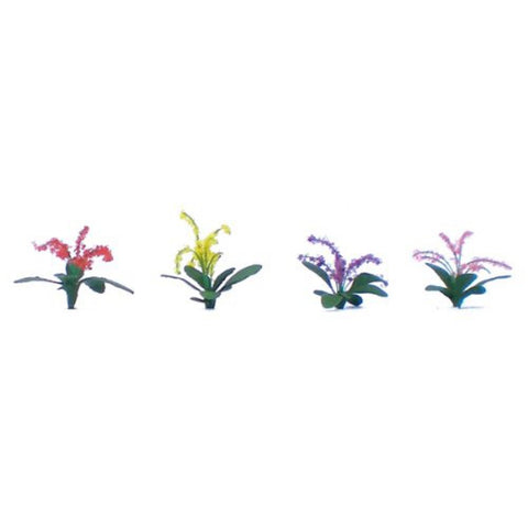 Flowering Plants Series: Petunias