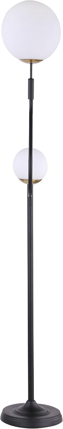 Coaster Home Furnishings - Dacki - Metal Floor Lamp with Dual Spherical Glass Globe Shades and S-Curve Stand - Living Room - 69-Inch - Black - 920243