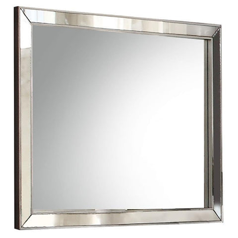 Acme Voeville II Rectangular Mirror in Silver