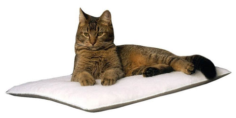 Mysterious Purr Padd Cat Cushion, Charcoal, 2 Cushion/Set