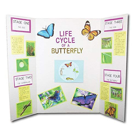 Flipside Products 36” x 48” Project Boards for Presentations, Science Fair, School Projects, Event Displays and Trifold Picture Board, Proudly Made in USA – Bleached White - 24 Pack