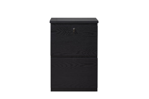 kowo 2 Drawer Wood File Cabinet with Lock, Printer Stand, Vertical Filing Cabinet fits A4, Letter, and Legal Size Documents for Home Office, Black