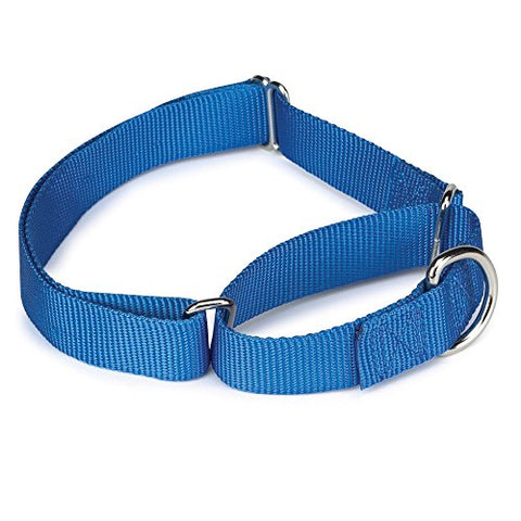 Guardian Gear Nylon Martingale Dog Collar, Fits Necks 10" to 16", Blue