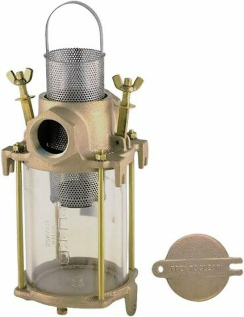 2" Intake Water Strainer