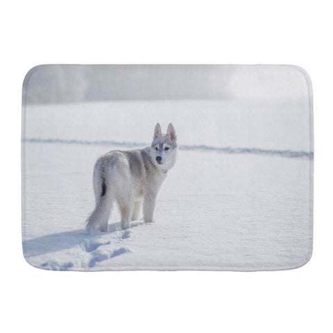 Bath Mat Rug,Wild Siberian Husky Winter Playing Snow Forest Alaskan Animals Wolf Wildlife Nature Cold,Plush Bathroom Decor Mats with Non Slip Backing,31.5" X 19.5"
