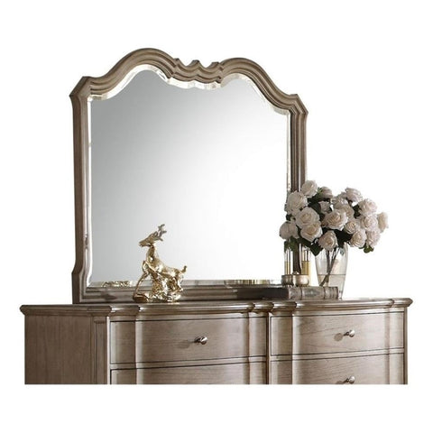 Acme Chelmsford Mirror in Antique Taupe