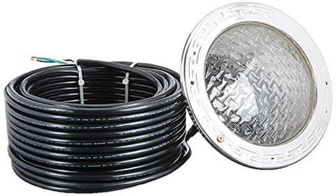 PENTAIR AM SS 100W 12V 100FT