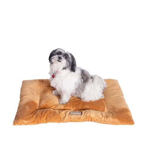 Armarkat Pet Bed Mat 27-Inch by 19-Inch by 2.5-Inch M01-Medium, Brown (Model: M01CZS-M)