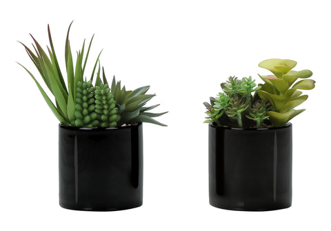 Monarch Specialties I 9554 Artificial Plant, 7" Tall, Succulent, Set of 2, Decorative, Green Plants