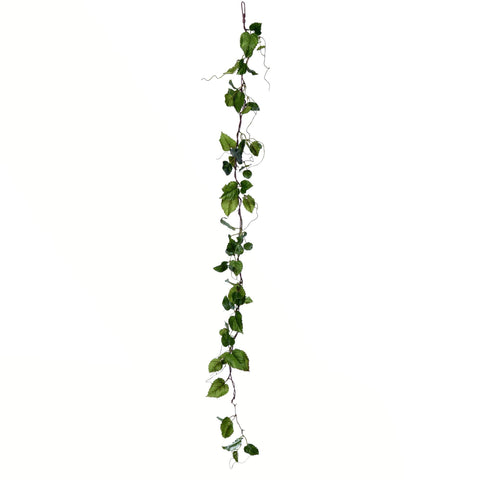 Vickerman Everyday 56" Artificial Green Hop Leaf Garland - Faux Floral Decor - Home or Office Greenery Accent - Maintenance Free - 2 Pack - Hanging Plant - Realistic Green Garland