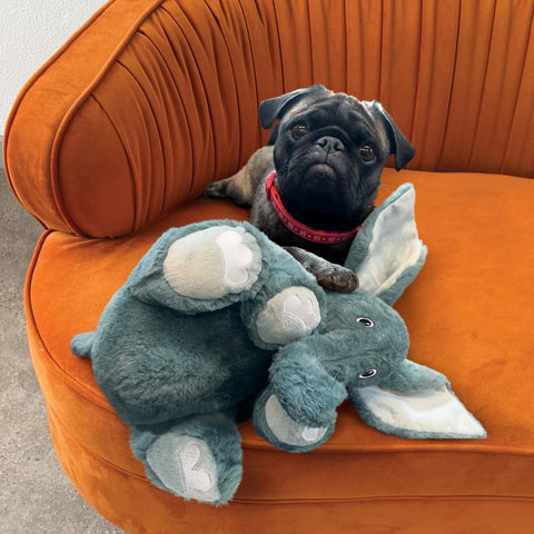 KONG Comfort Kiddos Jumbo Elephant Squeak Dog Toy for Large and X-Large Breeds