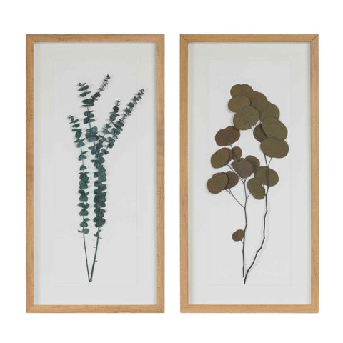 Melrose International Dried Eucalyptus Frame (Set of 2)