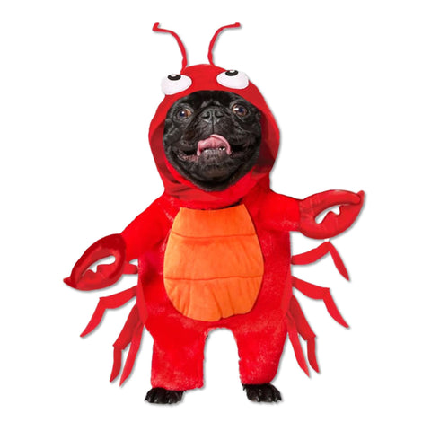 Lobster Pet Costume | Large