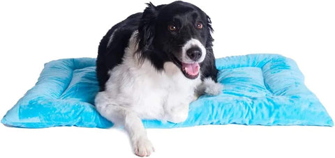 Armarkat Pet Bed Mat 35-Inch by 22-Inch by 3-Inch M01-Large, Sky Blue