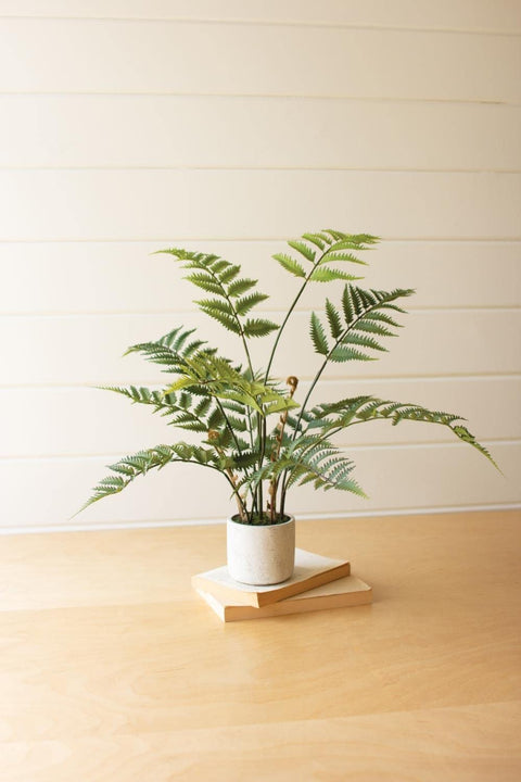 Kalalou CYF1357 Artificial Fern in A Cement Pot, Green
