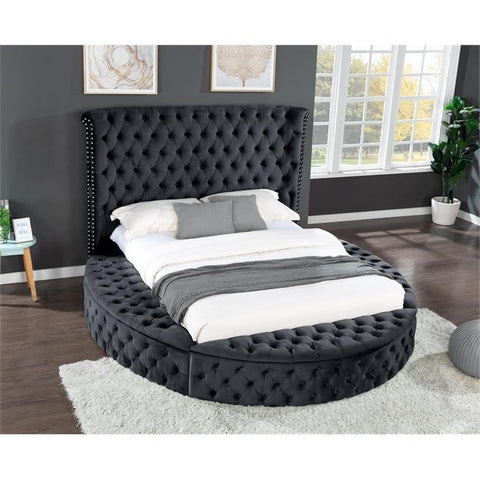 Matrix Furniture Group Hazel Queen Size Tufted Upholstery Storage Bed Made with Wood in Black