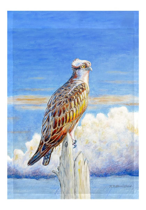 Betsy Drake FL1109 12.5 x 18 in. Osprey Storm Flag