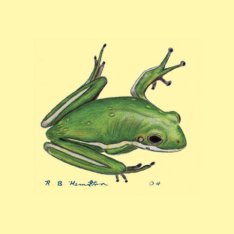 Betsy Drake CT040 Tree Frog Coaster, Set of 4